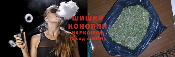 индика Володарск