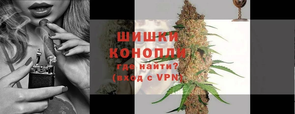 дживик Нягань