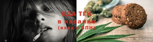 индика Володарск