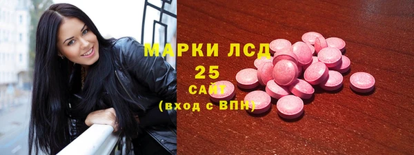 индика Володарск