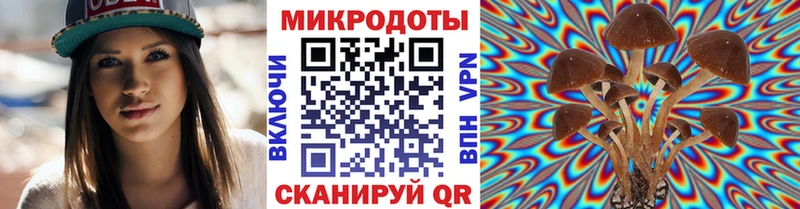 blacksprut ССЫЛКА  магазин    Змеиногорск  Псилоцибиновые грибы Cubensis 